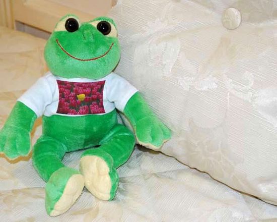 tenero peluche a form di ranocchio