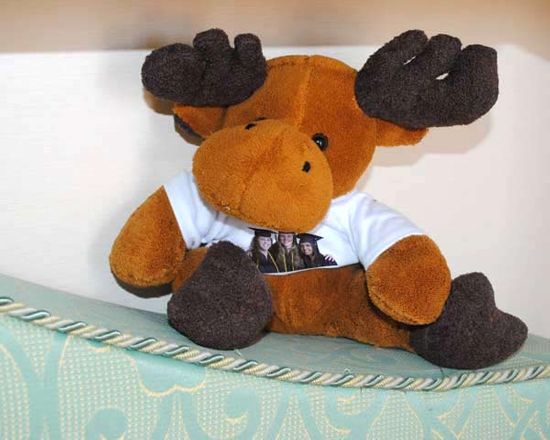 alce di peluche con stampa personalizzata