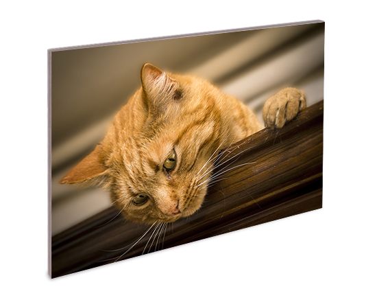 Stampe fotografiche su pannelli Kapafix da 5mm o 10mm