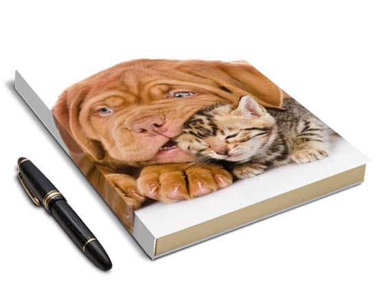 libro degli animali con immagine di due cuccioli di cani e gatti