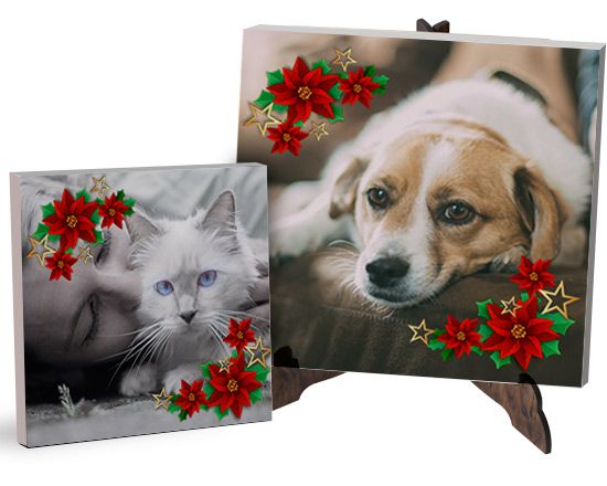 Tela light Stelle di Natale