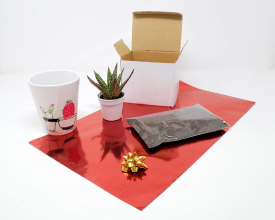 vaso personalizzato con confezione regalo