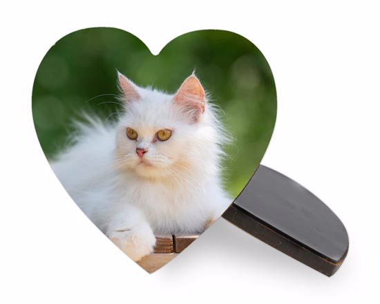calamita in legno con foto a forma  di cuore