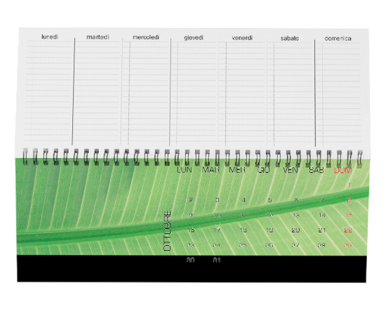 Calendari da scrivania panoramico