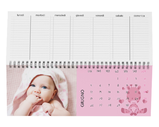 Calendari da scrivania giraffa rosa