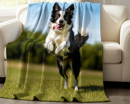 coperta con foto cane