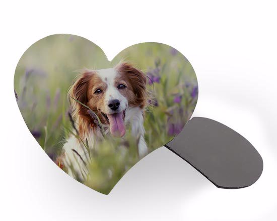 Crea Calamita flessibile a cuore personalizzata con foto