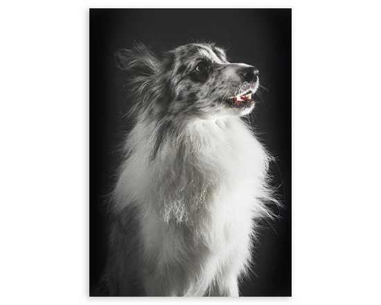 Poster personalizzato dim 70x100 cm