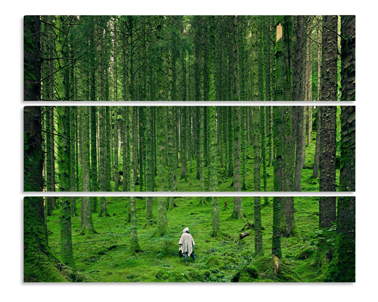 tela divisa in 3 pannelli orizzontali con stampa di natura