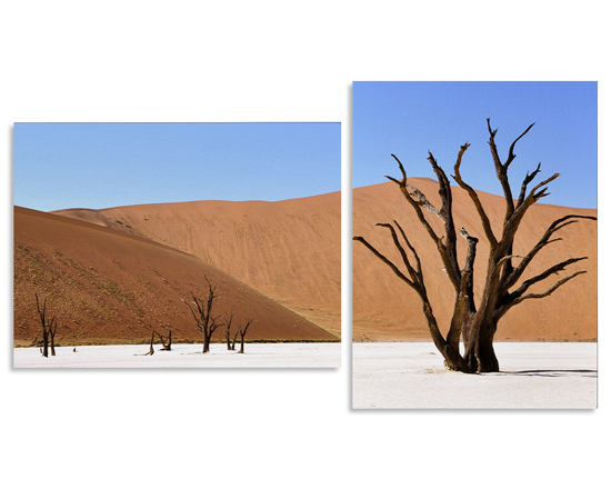 Stampa di paesaggio su quadri moderni divisi in pannelli