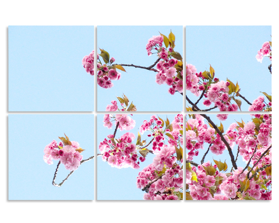 Tela in pannelli suddivisa in 6 sezioni