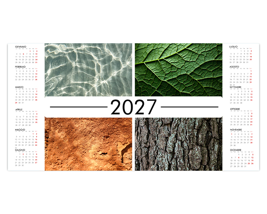 Grafica 5