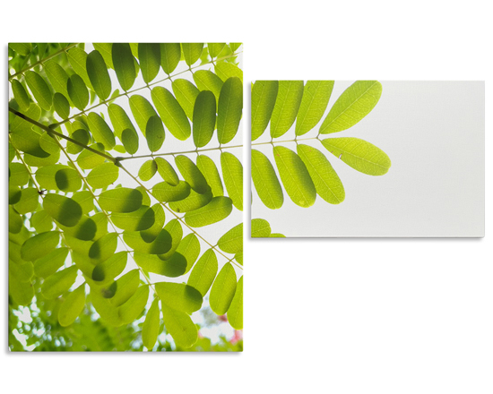 Tela 2 pannelli per le tue composizioni personalizzate