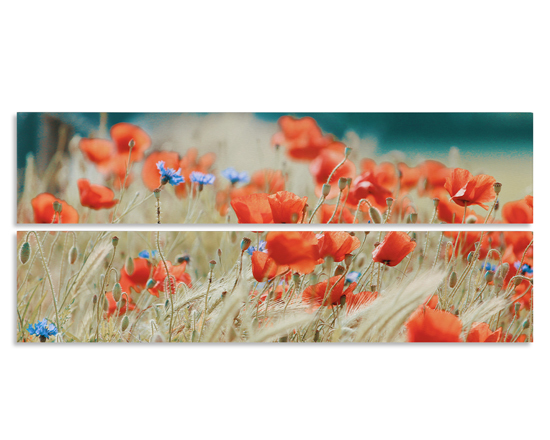 Tela 2 pannelli Parallel horizontal