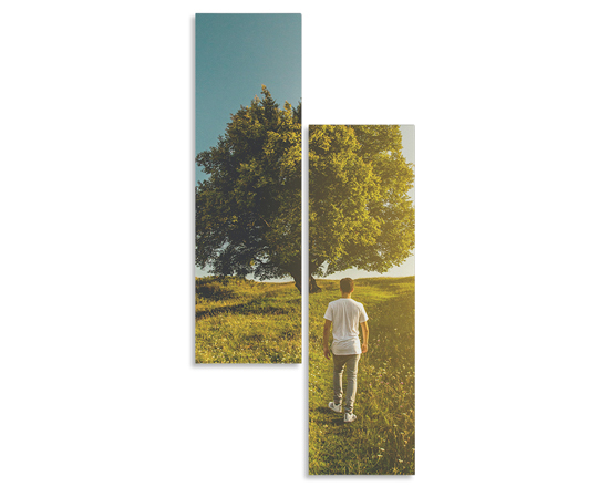 Stampa su Tela la composizione a 2 pannelli disallineati