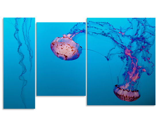 3 Pannelli in tela diversi per la tua composizione di quadro trittico