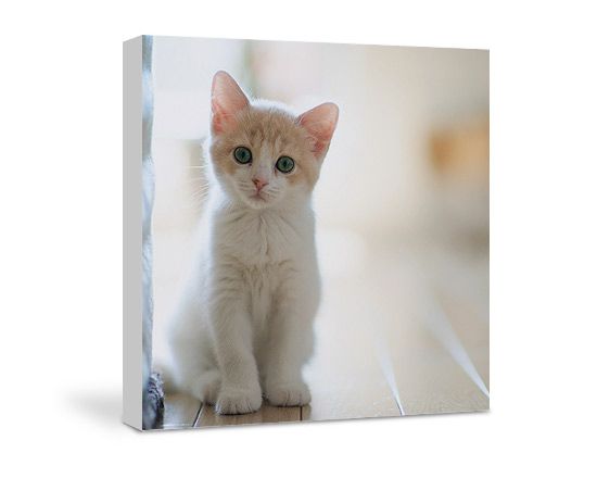 Stampa su tela 120 x 120 cm