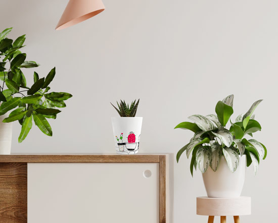 vaso in ceramica con piantina personalizzato