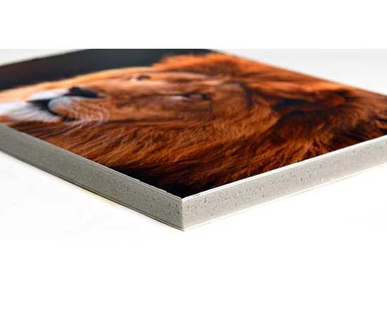 Stampe su Kapafix diversi spessori 5 o 10 mm