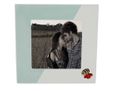 cornice quadrata ape in love