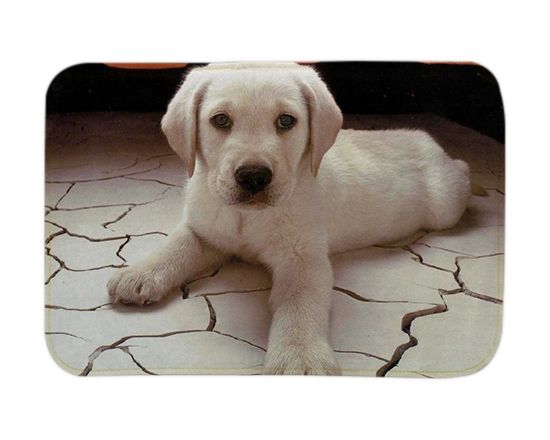 Tappetino per Animali Personalizzato