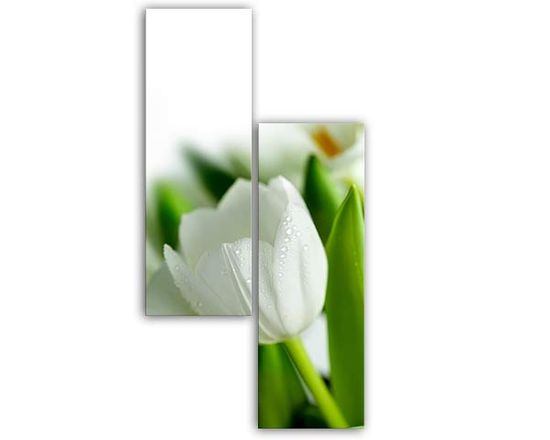 stampa di fiori bianchi su pannelli disallineati