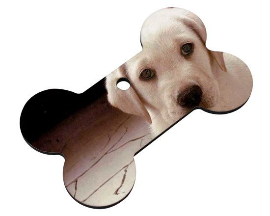 osso in masonite personalizzato con foto e immagini