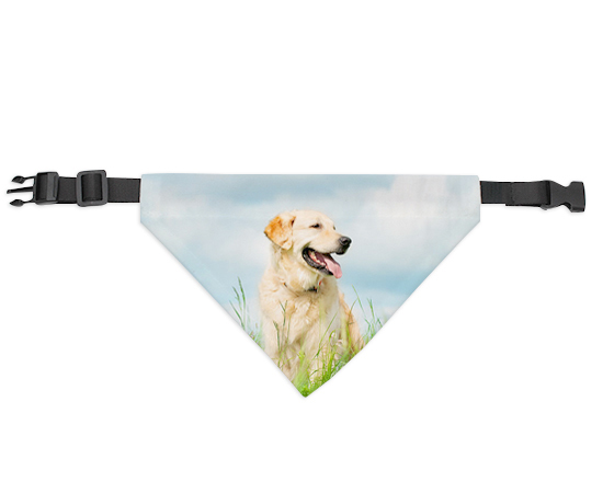Bandana per cani con collare regolabile