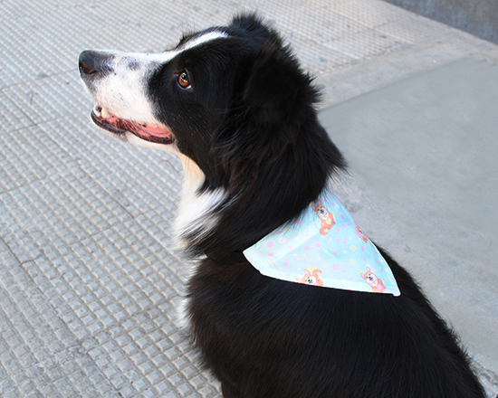 bandana per cani indossata laterale