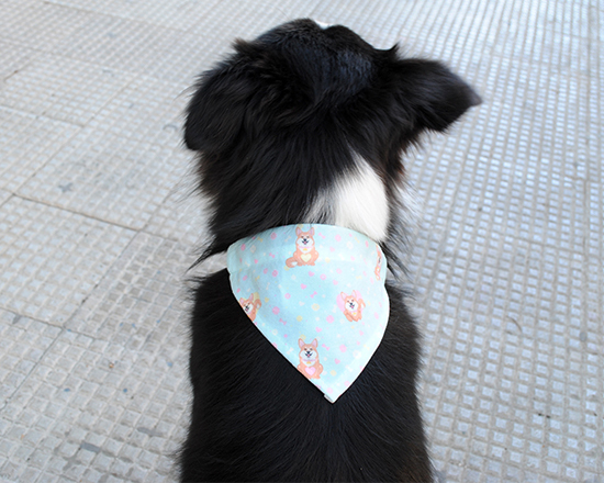 bandana per cani indossata sul retro