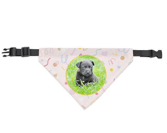 Bandana per cani personalizzata con grafica festoni compleanno