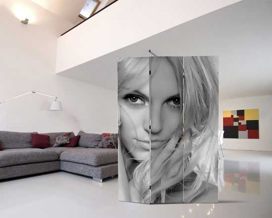 Un loft, una camera da letto, un salone, tutti i tuoi ambienti più cari saranno ancora più intimi, con il Paravento personalizzabile di Fotoregali.