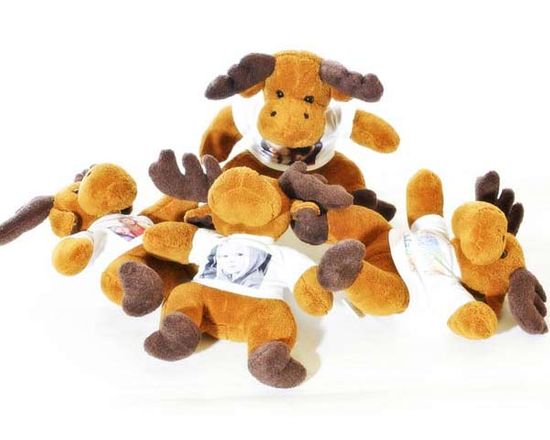Alce di peluche con stampa foto