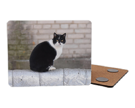 Calamita in Masonite 14x11cm con foto