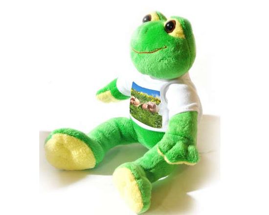 Foto stampate su Ranocchio di peluche