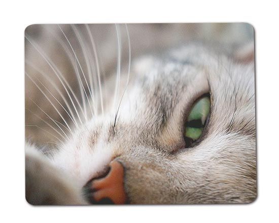 Calamite in legno rettangolare 14x11 cm.