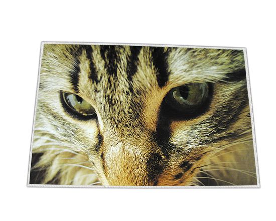 stampa le tue foto su tela senza telaio