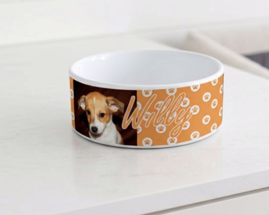 ciotola in ceramica per cane personalizzata