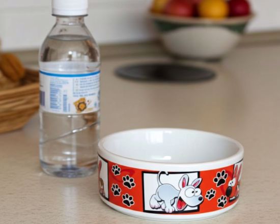 stampa immagini e grafiche su ciotola per cani