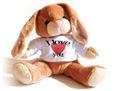 Coniglio Peluche