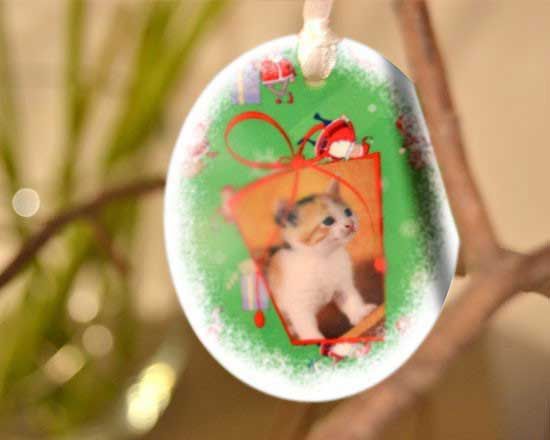 Scegli la personalizzazione che più ti aggrada potrai inserire le foto dei tuoi cari, del tuo animale domestico e dediche a tua scelta.