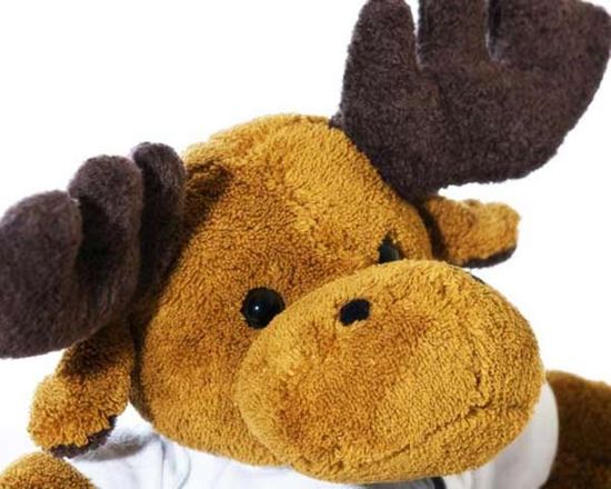 Foto stampate su alce di peluche