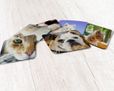 Crea Calamite Quadrate Pack da 6