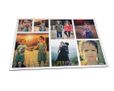 Un collage di foto per il tuo puzzle