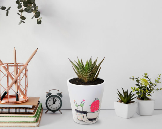 crea vaso personalizzato per la tua scrivania