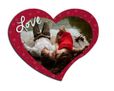 Grafica con cuori su foto puzzle