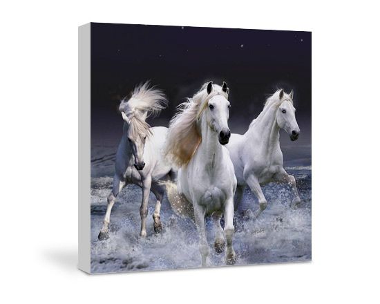 crea stampa su tela con le tue foto