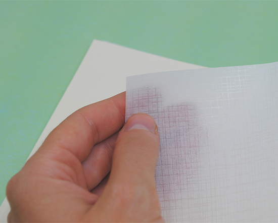 Album foto 24x30 particolare delle veline all'interno delle pagine