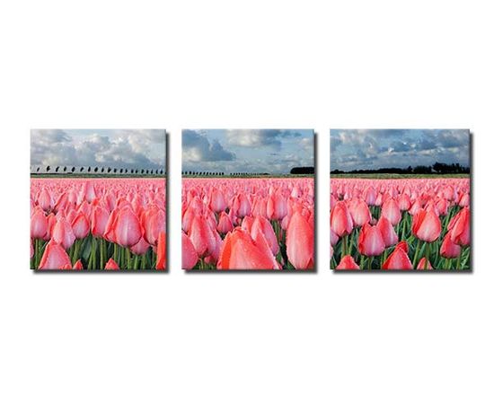 Tela in pannelli personalizzata con immagini di tulipani