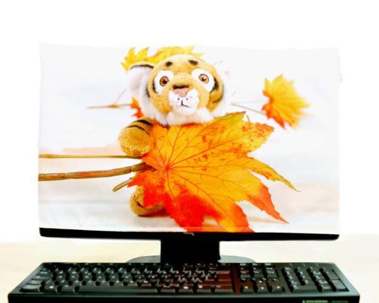 Copri Monitor stampati con fotografie, testi, o temi a scelta